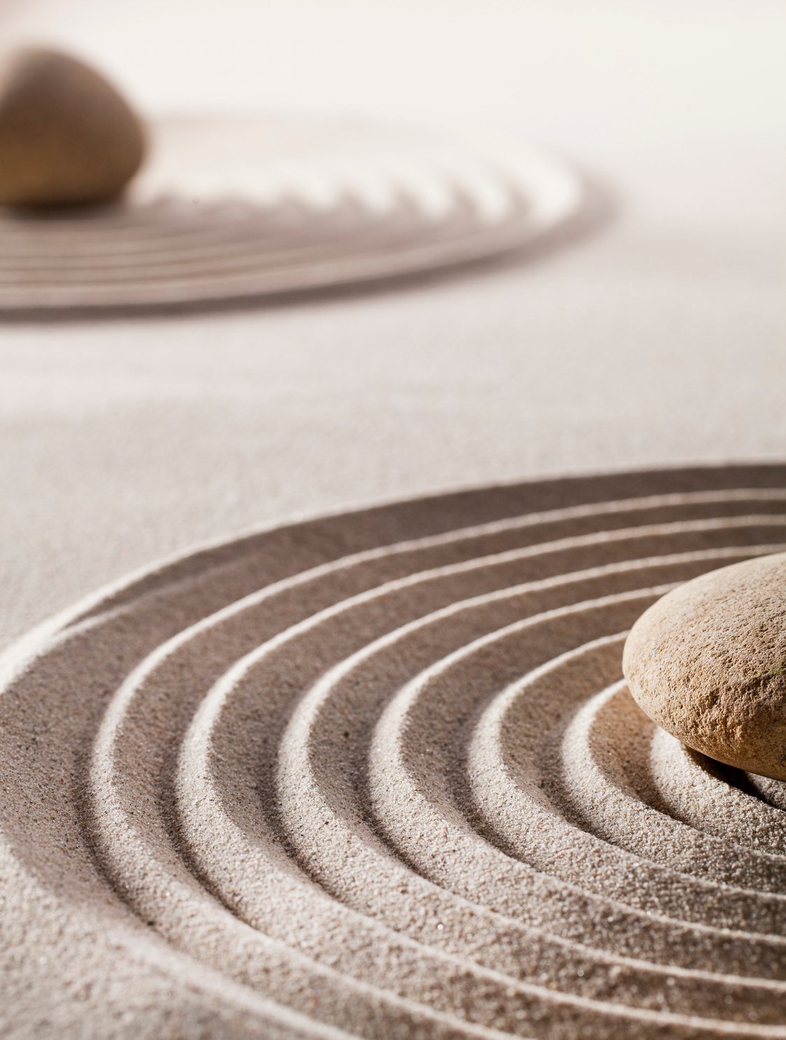 zen wellbeing and wellness